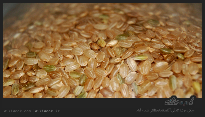 برنج سبوس دار چه فوایدی دارد؟ / ویکی ووک