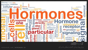 چگونه مشکلات هورمونی را برطرف کنیم؟ / ویکی ووک