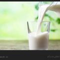 درباره خواص و مضرات شیر چه می دانید – ویکی ووک