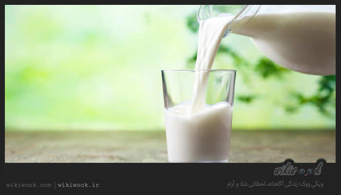درباره خواص و مضرات شیر چه می دانید – ویکی ووک