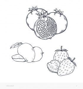 رنگ آمیزی کودکانه ویکی ووک با موضوع میوه ها