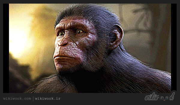 تاریخ انتشار بازی Planet of the Apes: Last Frontier / ویکی ووک