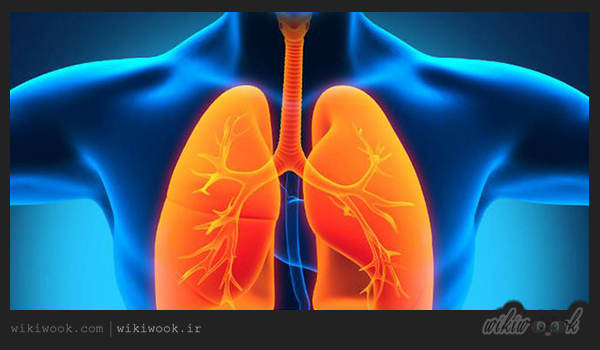 چگونه سیستم تنفسی را تقویت کنیم؟ / ویکی ووک