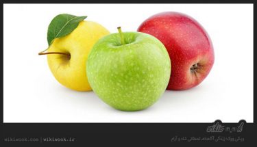کدام نوع سیب مفید است؟ / ویکی ووک