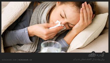 در هنگام سرماخوردگی چه کارهایی را نباید انجام دهید؟ / ویکی ووک