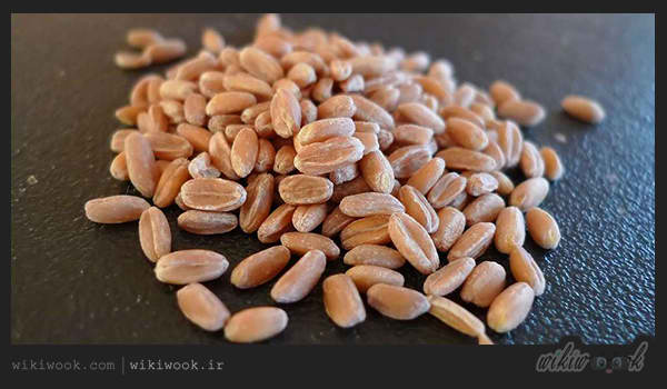 خندروس و خواص آن / ویکی ووک
