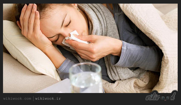 برای پیشگیری از سرماخوردگی چه بخوریم؟ / ویکی ووک