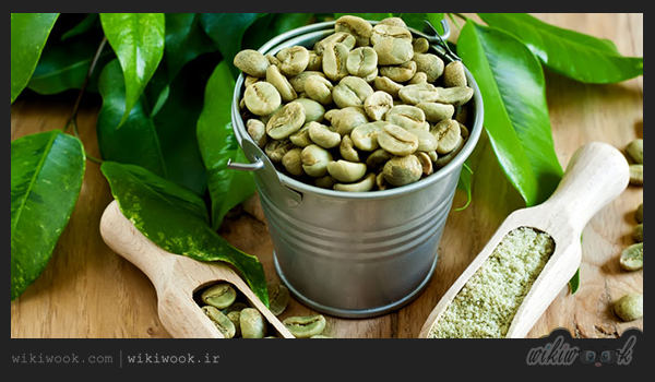 قهوه سبز و خواص / ویکی ووک