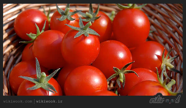 گوجه - ویکی ووک