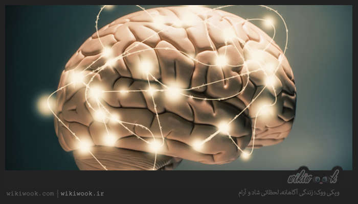 چگونه مغزی فعال داشته باشیم؟ / ویکی ووک