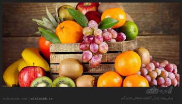آیا می دانید چه میوه هایی برای لاغری مفید هستند؟ - ویکی ووک