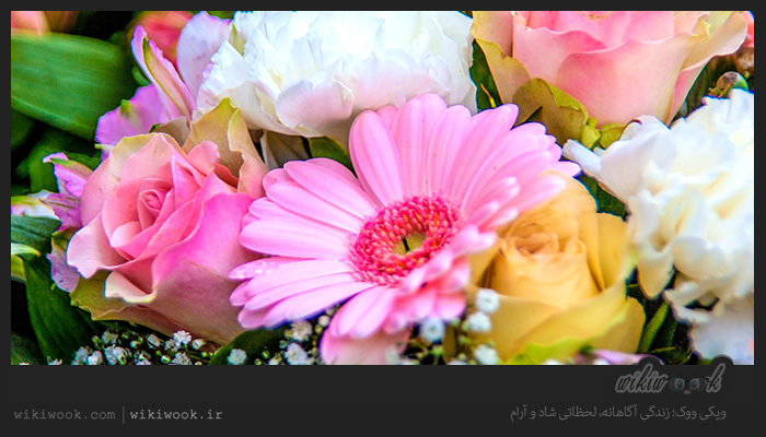 داستان انگیزشی شماره 68 - اعتماد به خدا / ویکی ووک