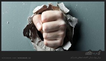 داستان انگیزشی شماره 53 – هنگام خشم / ویکی ووک