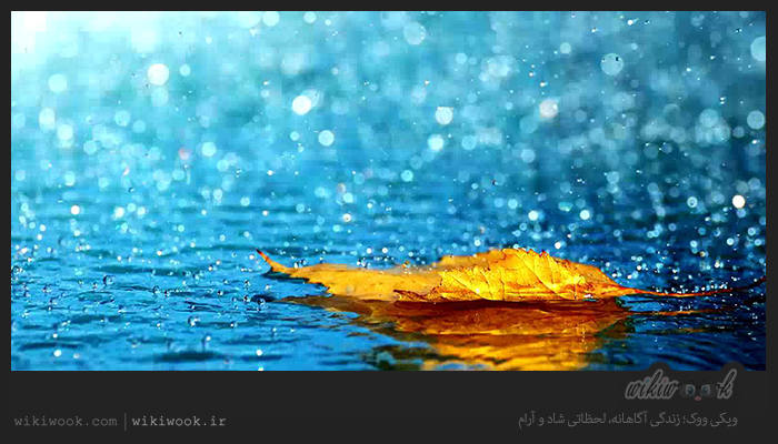 داستان انگیزشی شماره 13 – قطرات باران / ویکی ووک