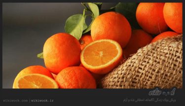 نارنج و خواص آن - ویکی ووک