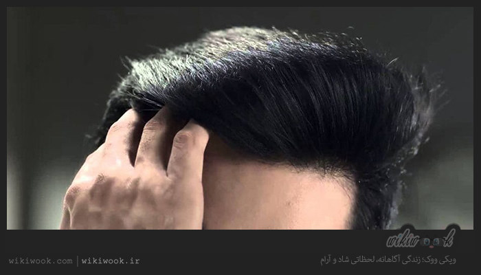 چگونه موهایی زیبا داشته باشیم؟ / ویکی ووک