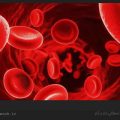 چگونه میزان پلاکت خون را افزایش دهیم؟ / ویکی ووک