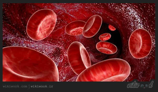 چگونه میزان پلاکت خون را افزایش دهیم؟ / ویکی ووک