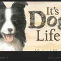 داستان کوتاه انگلیسی زندگی یک سگ