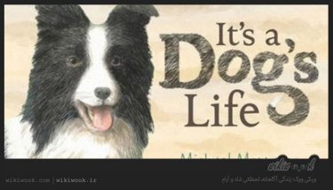 داستان کوتاه انگلیسی زندگی یک سگ
